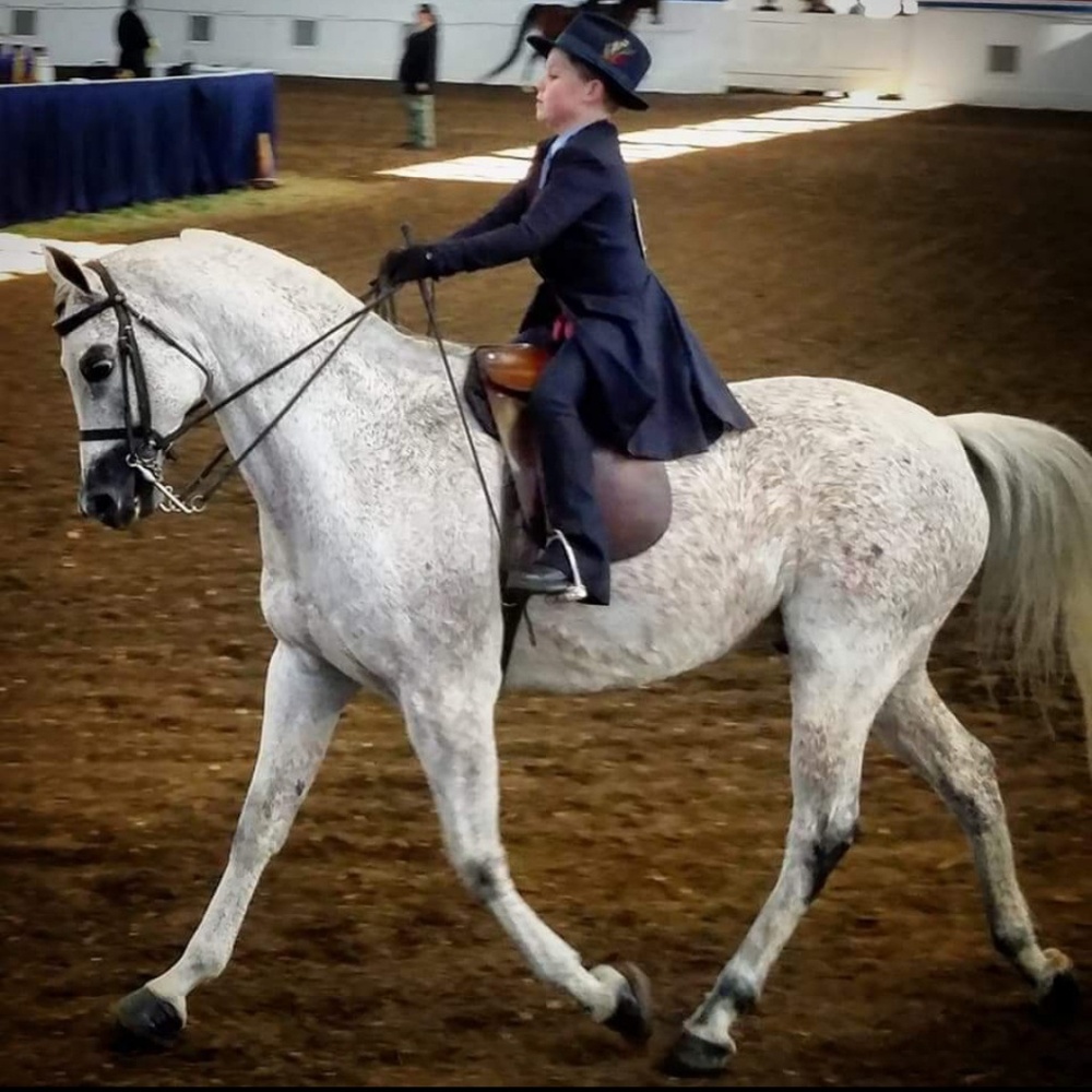 RJ Becht Saddleseat Suit for Child